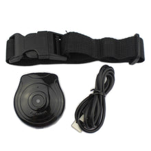 Load image into Gallery viewer, QQQPET DVR Pet Video Camcorder Black Useful Dog Cat Puppy Mini Camera HD Collar Video Recorder Monitor
