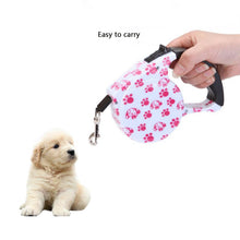 Load image into Gallery viewer, 5M Retractable Dog Leash Automatic Dog Puppy Belt Line Puppy Collar Leash Patrol Rope Walk Cat Traction Supplies For Pet Walking