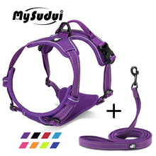 Load image into Gallery viewer, Truelove Pet Dog Harness Leash For Pet Set Large Small Medium Dogs Collars And Harnesses For Dogs Nylon Dog Leash And Harness