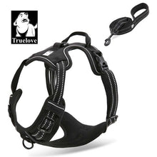 Load image into Gallery viewer, Truelove Pet Dog Harness Leash For Pet Set Large Small Medium Dogs Collars And Harnesses For Dogs Nylon Dog Leash And Harness