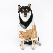 Load image into Gallery viewer, Pets Products Big Dogs Supplies Winter Warm Fashion Clothes For Husky Samoyed Gaint Poodle XL XXL XXXL Size