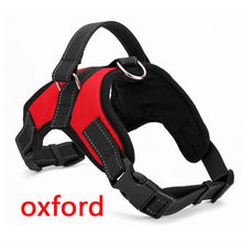 Load image into Gallery viewer, 100pcs Pet Products for Large Dog Harness k9 Glowing Led Collar Puppy Lead Pets Vest Dog Leads Accessories Chihuahua