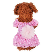 Load image into Gallery viewer, Dog Lace Princess Dress Pet Clothes Spring Small Dog  Skirt Summer Thin Section Romantic Wave Point Gauze Skirt Pet Clothing