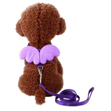 Load image into Gallery viewer, Dog Collar Pet Dog Angel Wings Belt And Collar Adjustable Puppies Lead Traction Belt Pet Out Accessories