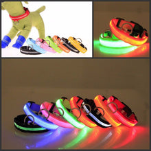 Load image into Gallery viewer, LED Dog Collar USB Rechargeable Night Safety Flashing Glow Pet Dog Cat Collar With Usb Cable Charging Dogs Accessory
