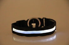 Load image into Gallery viewer, LED Dog Collar USB Rechargeable Night Safety Flashing Glow Pet Dog Cat Collar With Usb Cable Charging Dogs Accessory