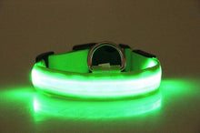Load image into Gallery viewer, LED Dog Collar USB Rechargeable Night Safety Flashing Glow Pet Dog Cat Collar With Usb Cable Charging Dogs Accessory