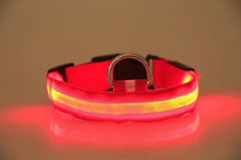Load image into Gallery viewer, LED Dog Collar USB Rechargeable Night Safety Flashing Glow Pet Dog Cat Collar With Usb Cable Charging Dogs Accessory