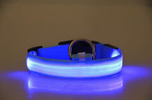 Load image into Gallery viewer, LED Dog Collar USB Rechargeable Night Safety Flashing Glow Pet Dog Cat Collar With Usb Cable Charging Dogs Accessory