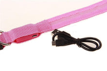 Load image into Gallery viewer, LED Dog Collar USB Rechargeable Night Safety Flashing Glow Pet Dog Cat Collar With Usb Cable Charging Dogs Accessory
