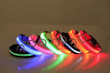 Load image into Gallery viewer, LED Dog Collar USB Rechargeable Night Safety Flashing Glow Pet Dog Cat Collar With Usb Cable Charging Dogs Accessory